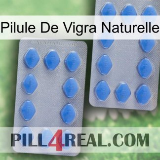 Natural Vigra Pill 20